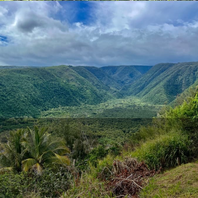 View from Pololū Valley Overlook on the Big Island, featuring steep emerald cliffs, tropical forest, and the valley floor below.