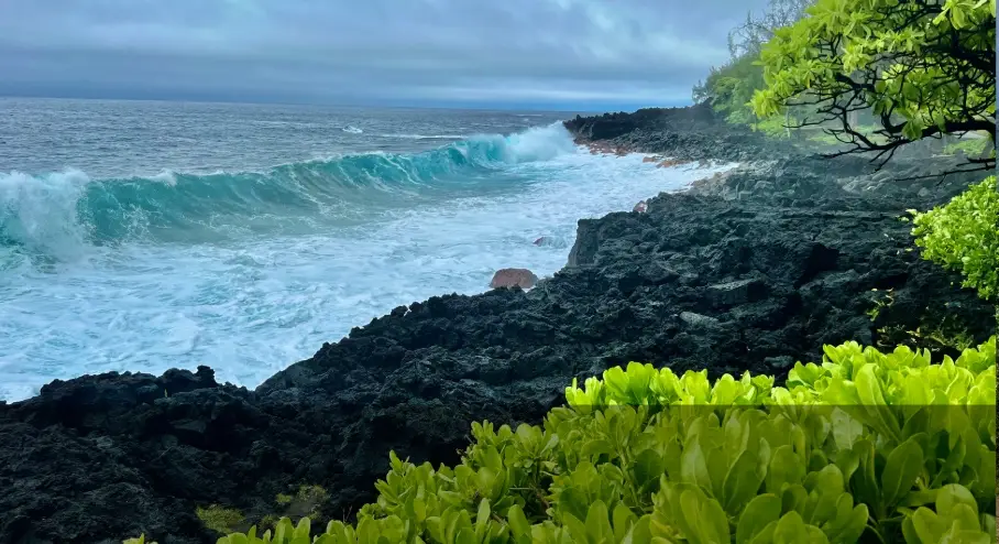 The Puna Coast on the Big Island, showing powerful ocean waves breaking against black lava rock cliffs and bright green coastal plants.
