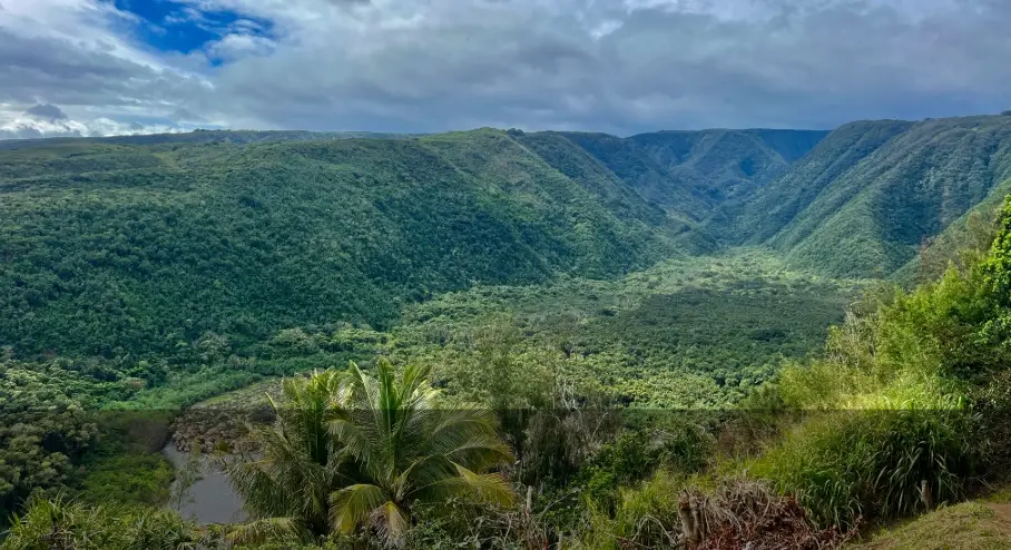 View from Pololū Valley Overlook on the Big Island, featuring steep emerald cliffs, tropical forest, and the valley floor below.