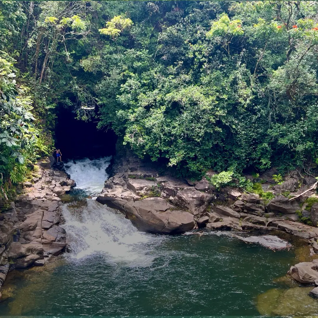 Waterfall emerging from a lava tube into Kawanui Stream on the Hāmākua Coast, Big Island of Hawaiʻi.