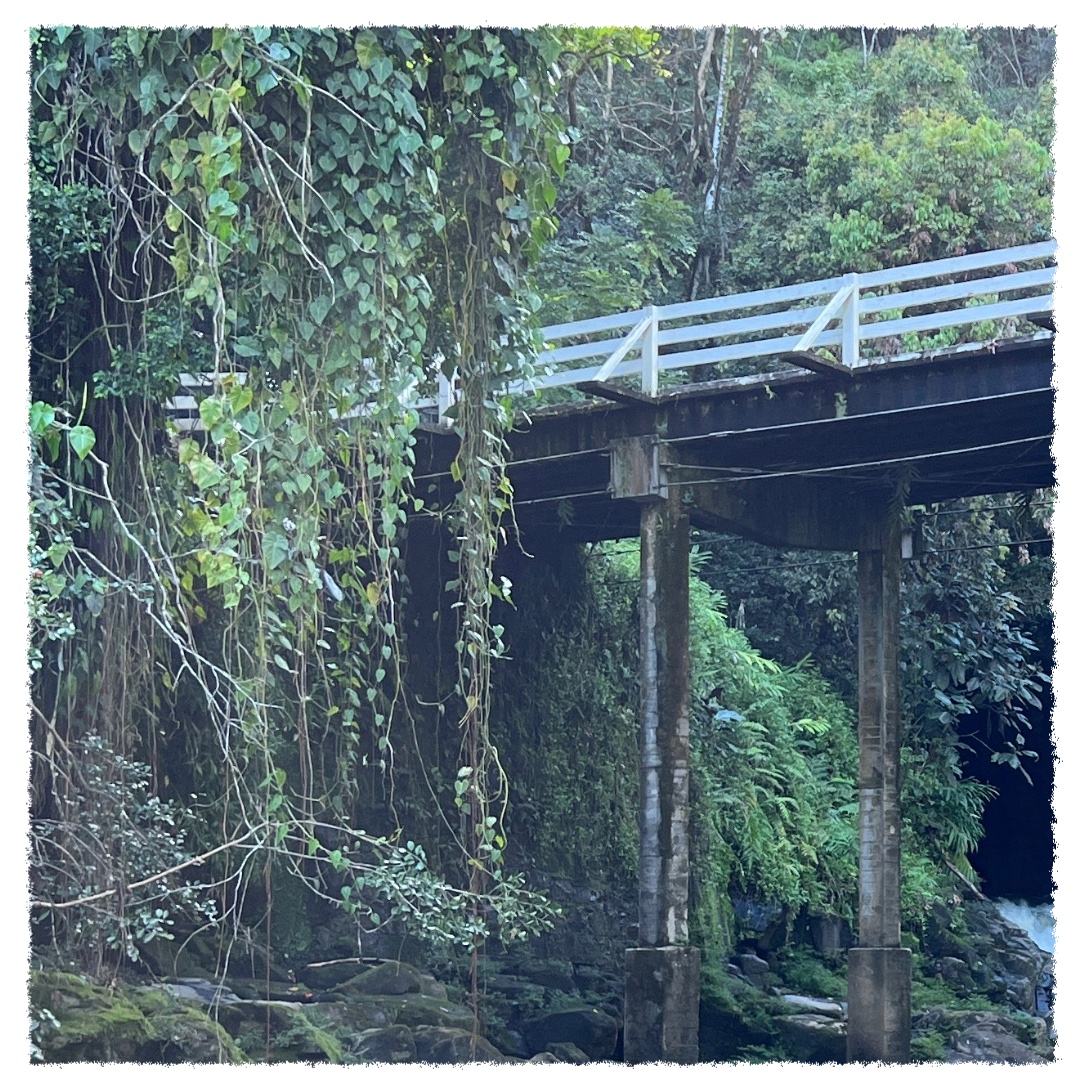 Old Māmalahoa Highway bridge crossing a lush rainforest gulch on the Big Island of Hawaiʻi.
