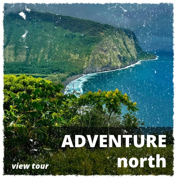 Coastal cliffs and ocean views along the Hāmākua Coast on the Big Island of Hawaii