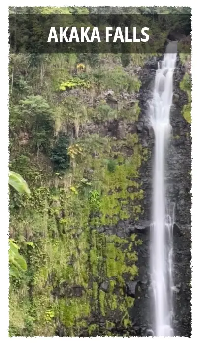 Akaka Falls Cascading into jungle gulch.