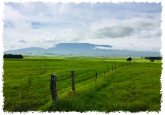 Scenic country back roads on the Big Island with open pastureland and mountain views