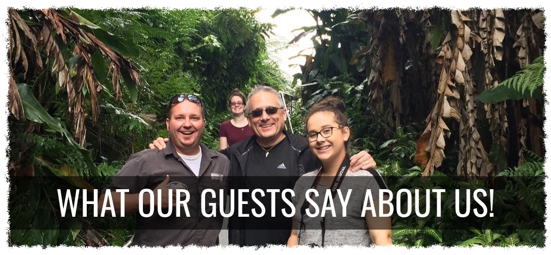 Happy guests on a private Big Island rainforest tour with The Volcano Van, smiling with their guide among lush tropical greenery
